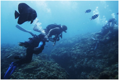 バリアフリーダイビングイメージ写真01