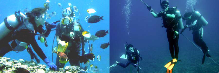 体験ダイビング